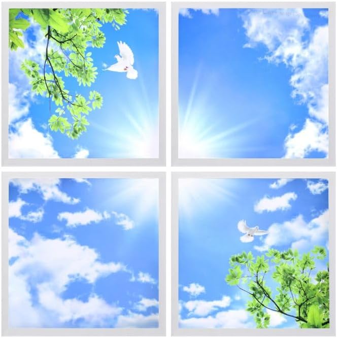 Pack of 4 LED Sky Ceiling Panels 600x600 – 40W 6500K Daylight | Manningham Lighting