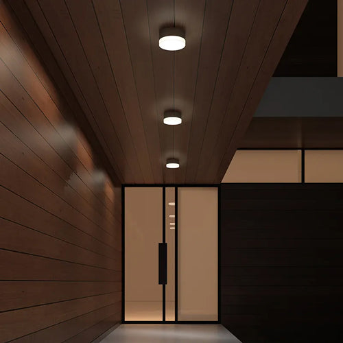 Outdoor Ceiling Lights