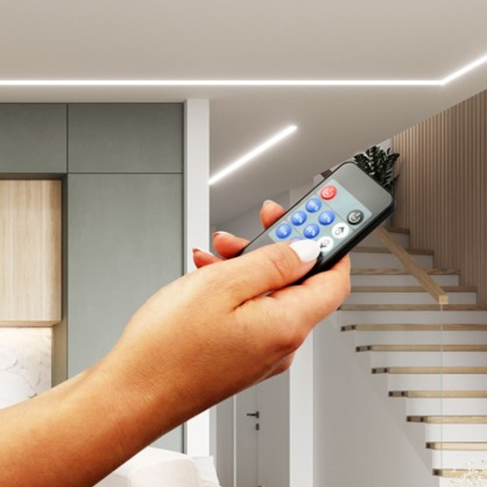 LED Single Colour Controller/Dimmer With RF Remote Control